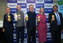 BASF launches two innovations: Valexio® & Mibelya® that will help support Indian rice growers achieve better and higher quality yields BASF launches two innovations: Valexio® & Mibelya® that will help support Indian rice growers achieve better and higher quality yields