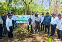 MPCDF and All Milk Unions Organise Tree Plantation Drives on World Environment Day Environment Day Plantation At MPCDF