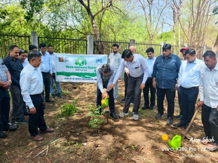 Environment Day Plantation At MPCDF
