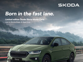 Slavia Monte Carlo - Shimla Green